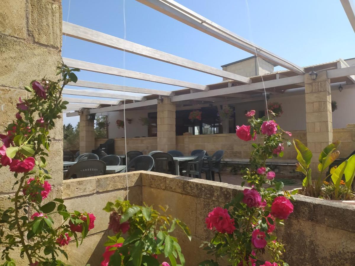 Agriturismo "Terra D'Ulivi" Порто-Чезарео Экстерьер фото