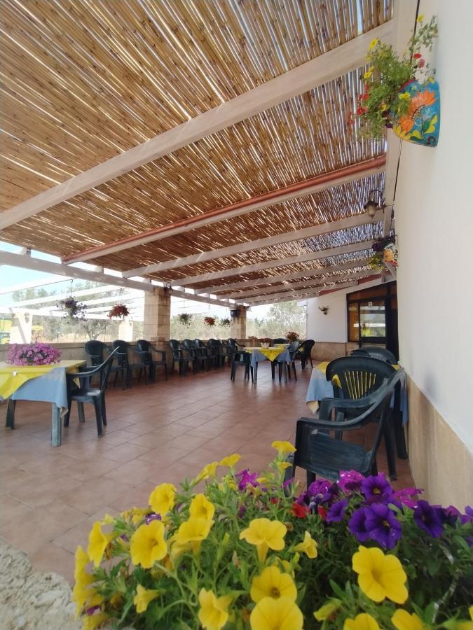 Agriturismo "Terra D'Ulivi" Порто-Чезарео Экстерьер фото