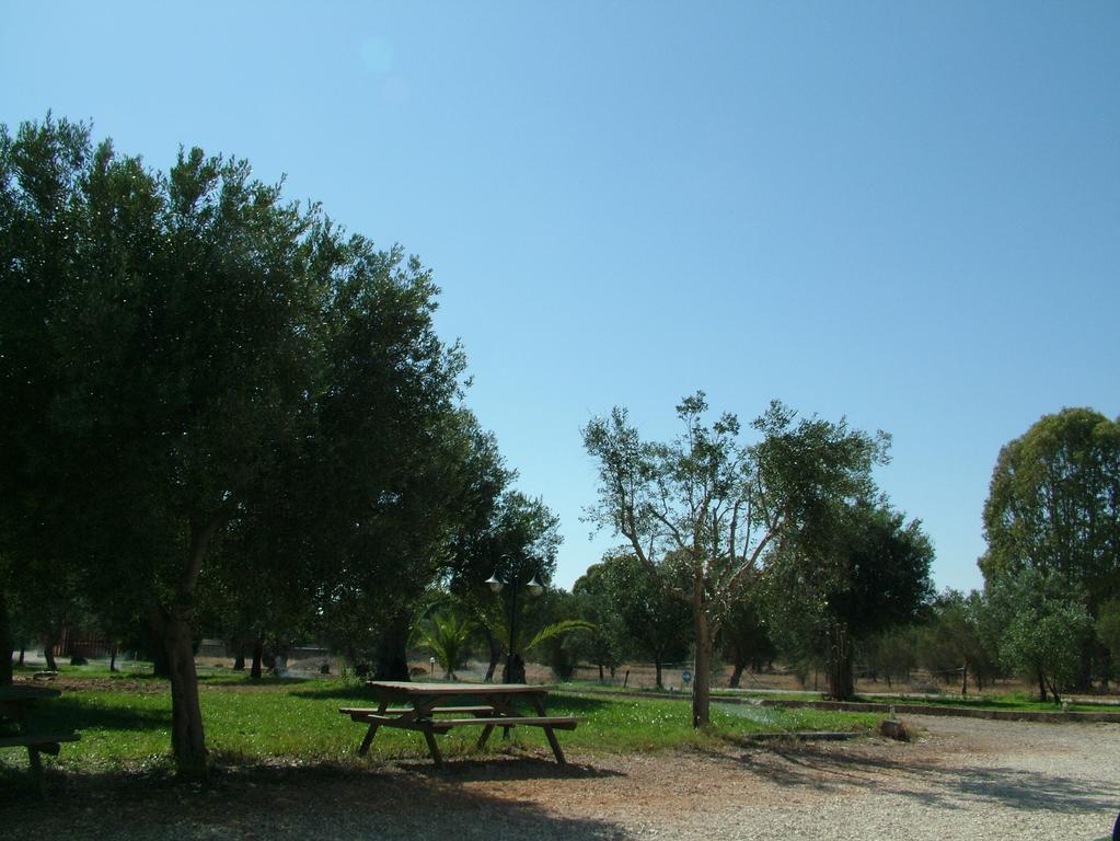 Agriturismo "Terra D'Ulivi" Порто-Чезарео Номер фото