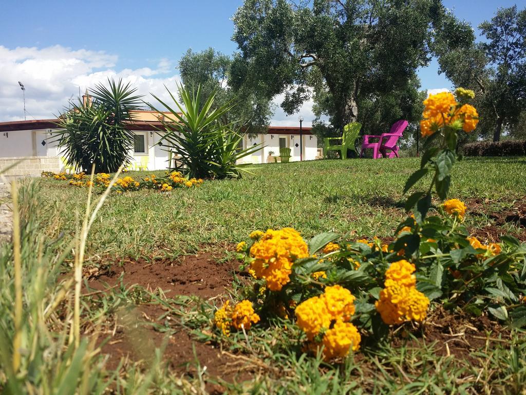 Agriturismo "Terra D'Ulivi" Порто-Чезарео Экстерьер фото
