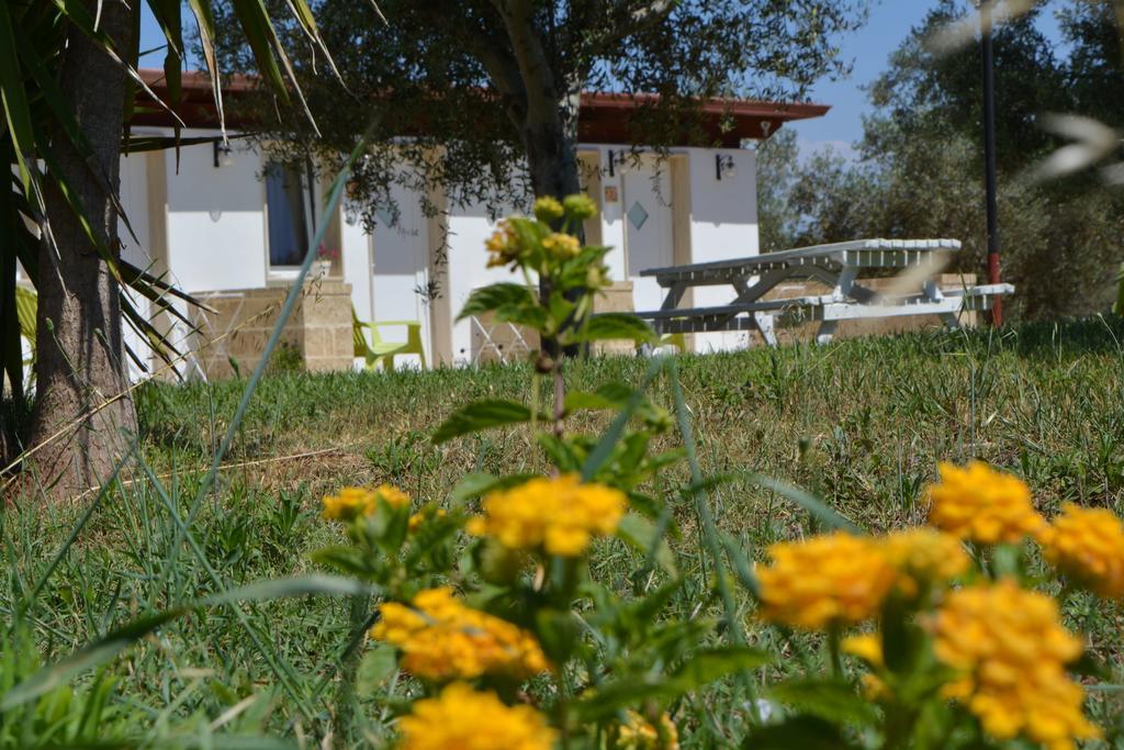 Agriturismo "Terra D'Ulivi" Порто-Чезарео Экстерьер фото
